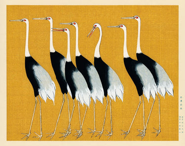 Japanese Red Crown Crane canvas art print by Feeling at Home, showcasing a detailed image of a red-crowned crane in nature.