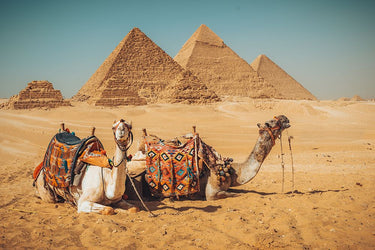 Feeling at Home art print by Zhang Hannah featuring a captivating photograph of the Pyramids on canvas.