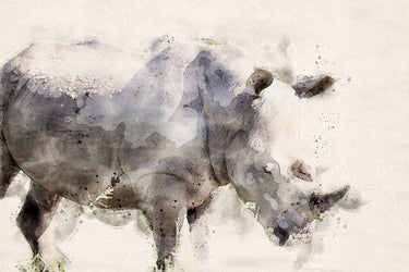 Canvas Art Print African Rhinoceros Watercolor Art Abstract subject by Kortan Merthan Fine Art Print quality