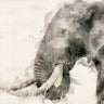 Canvas Art Print African Elephant Watercolor Art Abstract subject by Wrobel Piotr Fine Art Print quality