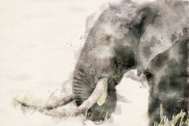 Canvas Art Print African Elephant Watercolor Art Abstract subject by Wrobel Piotr Fine Art Print quality