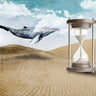 Canvas Art Print Desert time Fantasy subject by Buhligaha Hussain Fine Art Print quality