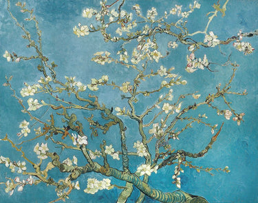Feeling at Home Vincent Van Gogh Almond Blossom 1890 art print on canvas, featuring vibrant depiction of blooming almond branches.