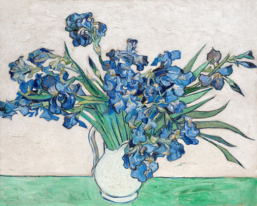 Canvas Art Print Vincent Van Gogh's Irises 1890 Museum subject by Deificus Emiliano Fine Art Print quality