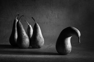 Canvas Art Print Lonely pear Kitchen subject by Little Dean Fine Art Print quality