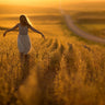 Canvas Art Print Walking wheat fields sunset Fashion subject by Woo Ryu Shin Fine Art Print quality