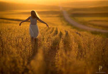 Canvas Art Print Walking wheat fields sunset Fashion subject by Woo Ryu Shin Fine Art Print quality