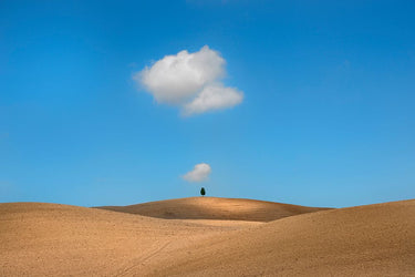 Canvas Art Print Tuscany Photography subject by Makoto Sasaki Fine Art Print quality