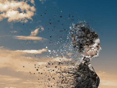 Canvas Art Print In The Wind Photography subject by Detollenaere Marnix Fine Art Print quality