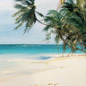 Canvas Art Print Palm Trees II Coastal subject by Bolokofsky Ronald Fine Art Print quality