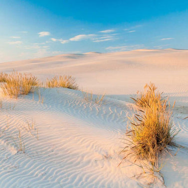 Sea scape sand dunes beach photography canvas art print by Phillip Jamie, showcasing tranquil coastal landscape.