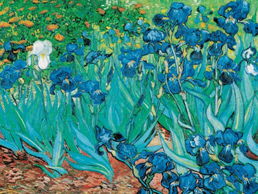 Canvas Art Print Iris Museum subject by Phillip Jamie Fine Art Print quality