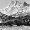 Feeling at Home Kings River Canyon National Park 1936 photography canvas art print, scenic landscape with vibrant colors.