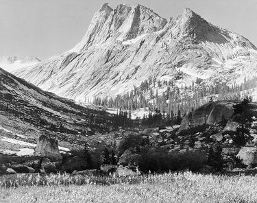 Feeling at Home Kings River Canyon National Park 1936 photography canvas art print, scenic landscape with vibrant colors.