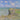 Canvas Art Print Cliff Walk at Pourville Coastal subject by Seurat Georges Fine Art Print quality