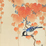 Canvas Art Print Great tit on paulownia branch Nature subject by Toulouse-Lautrec Henri Fine Art Print quality
