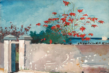Canvas Art Print A Wall, Nassau Coastal subject by Kroyer Peder Fine Art Print quality