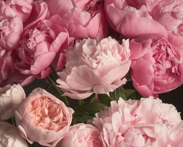 Canvas Art Print Pink Petals Still-Life subject by Clement Diane Fine Art Print quality