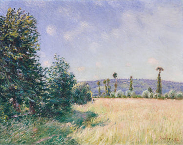 Canvas Art Print Sahurs Meadows in Morning Sun 1894 Museum subject by Sisley Alfred Fine Art Print quality