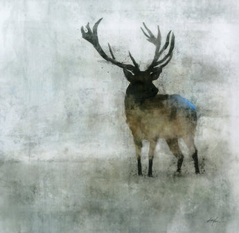 Animals & Nature Art Print Feeling
