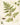 Botanical Art Print Feeling