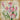 Feeling at Home Poetic Garden II floral canvas art print featuring vibrant, detailed botanical artwork by Brent Paul.