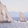 Coastal canvas art print featuring boats in Port Townsend, by Feeling at Home, showcasing vibrant maritime scenery.