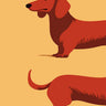 Dachshund animals canvas art print by Magnusson Andreas featuring a detailed, colorful illustration of playful dachshunds.