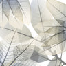 Botanical canvas art print "Limitless Bunch V2" by Koetsier Albert, featuring vibrant floral design for home decor.