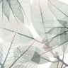 Limitless Bunch Botanical canvas art print by Koetsier Albert featuring vibrant, detailed botanical illustrations on a textured canvas.