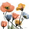 Feeling at home Blissful Garden 3 floral canvas art print by Koetsier Albert, featuring vibrant colorful flowers on a natural background.
