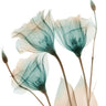 Floral canvas art print titled "Harvested Love 2" by Koetsier Albert, featuring vibrant flower illustrations in a natural setting.