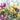 Springing Up 3 decorative canvas art print by Saunders Alonza, featuring vibrant, abstract floral design for home decor.
