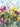 Springing Up 3 decorative canvas art print by Saunders Alonza, featuring vibrant, abstract floral design for home decor.