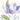 Purple Spring 2 floral canvas art print by Allen Kimberly, featuring vibrant spring flowers in a colorful, artistic design.