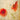 Feeling at Home Poppy Script II floral canvas art print featuring vibrant poppy flower design by Greene Taylor.