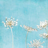 Queens Texture 40 Bath canvas art print by Feeling at Home, featuring textured abstract design in earthy tones.