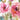Feeling at Home garden palette floral canvas art print by Robinson Carol, featuring vibrant botanical artwork on canvas.