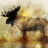 Colorful Happy Moose II Animals canvas art print by Feeling at Home, featuring playful moose and woodland animals on textured canvas.