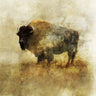 Peaceful Bison II animals canvas art print by Roko Ken featuring a serene bison scene in earthy tones.