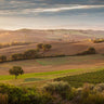Feeling at Home Fairyland at Dawn landscape canvas art print by Svoboda, featuring a serene dawn scene with vibrant colors.