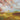 Feeling at Home In the Field landscape canvas art print by PI Studio featuring a serene rural scene with fields and sky.