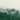 Emerald Forest No. 1 landscape canvas art print by Colligan Lynann, featuring lush green trees and natural scenery.