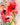 Summer Poppies floral canvas art print by Johannesson Karin, featuring vibrant poppy flowers on a textured canvas background.