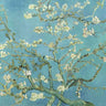 Feeling at Home floral canvas art print of Van Gogh's Almond Blossoms 1890, featuring delicate pastel almond tree branches.