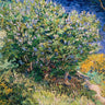 Lilac Bush landscape canvas art print by Van Gogh, featuring vibrant purple flowers and lush greenery, by Feeling at Home.