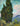 Van Gogh Cypresses 1889 landscape art print on canvas, featuring vibrant cypress trees in a natural scene.