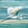 Feeling at Home Great Egret coastal canvas art print by Pinto Patricia, featuring a serene white egret in a coastal setting.