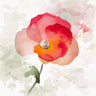 Translucent Poppy I floral canvas art print by Loreth Lanie, featuring vibrant poppy flowers in soft, translucent tones.