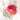 Translucent Poppy II floral canvas art print by Loreth Lanie, featuring vibrant poppy flower design, from Feeling at Home.